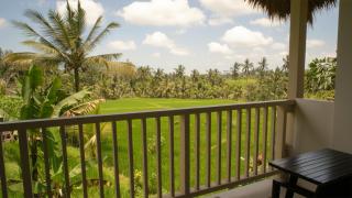 Mesari Hotel Ubud - 5