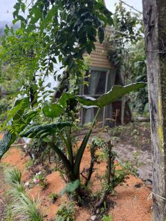 Eco Amigo el Rincón - 1