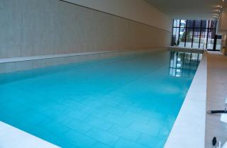 Home in the Sky 2BR,2BA with City Views,Pool & Gym - 6