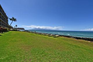 Kaleialoha 210 · KA 210 OceanFront 1BD Tropical Getaway w AC - 2