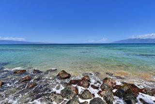 Kaleialoha 210 · KA 210 OceanFront 1BD Tropical Getaway w AC - 1