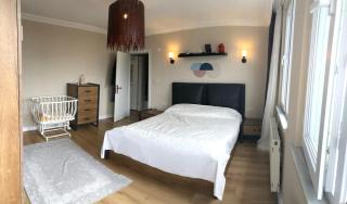 forest villa, 6 minutes from the airport - 0