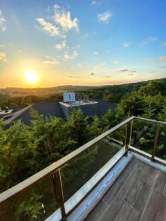 forest villa, 6 minutes from the airport - 0