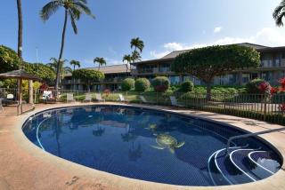 Eldorado L102 · EL L102 Renovated 1BD Condo w Pool AC Beach Caba - 4