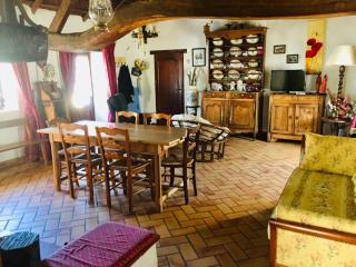 Charmante Bourrine avec Jardin Clôturé, à 3km de la Plage, Animaux Admis - FR-1-777-10 - 8