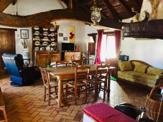 Charmante Bourrine avec Jardin Clôturé, à 3km de la Plage, Animaux Admis - FR-1-777-10 - 5