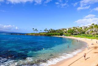Kapalua Bay Villas 36G5 · KBV 36G5 1BD Condo w Unobstructed Ocea - 4