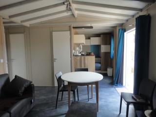 Chalet neuf avec piscine couverte, proche mer, calme et sécurisé - 6 personnes - FR-1-777-8 - 7