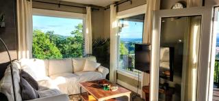 Panoramic River Views - Nature Framed in Every Window - 9