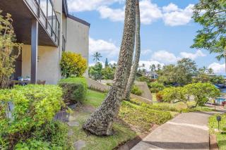 Napili Point B37 · NP B37 Relax Recharge Whale Watch OceanFront - 7