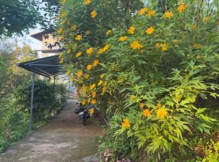 Severn Valley Jungle Villa - 8