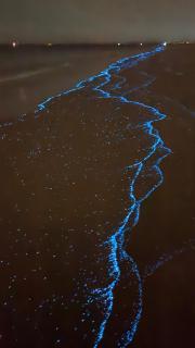 Afaq guest house - 3