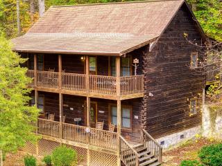 ER202 - Now and Forever Great location! - Close to town! cabin - 0