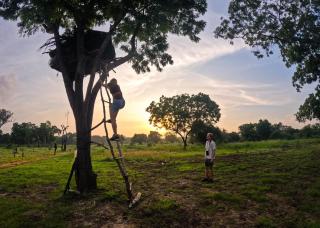 Safaria Lodge Wilpattu - 6