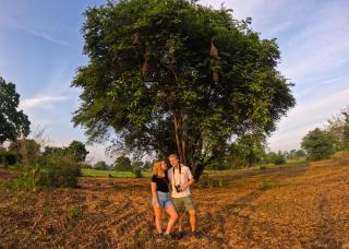 Safaria Lodge Wilpattu - 1