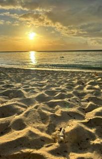 Cozy Blue Tourist Residence - 8