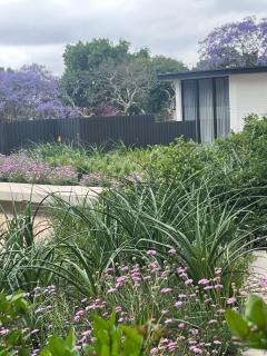 Executive Studio at One Rosebank - 1