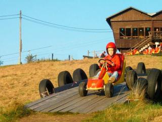 Large Home with Sauna, Ovifat - 9