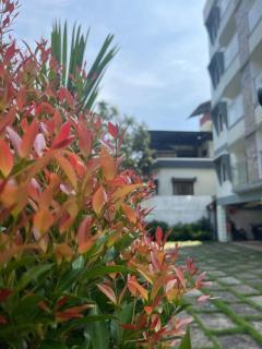 Enhance Lifestyle Service Apartments - Thamarassery - 7