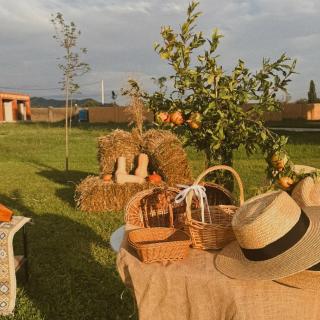 Burki Castle & Cellar - 1