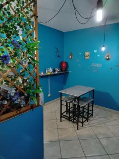 Casina Vitantonio Valmontone - 7