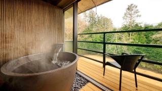 Hakone Fuga - Adult Only - Hakone - 9