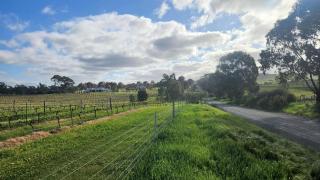 Magpie and Stump Hotel 'Nest Accommodation' - 8