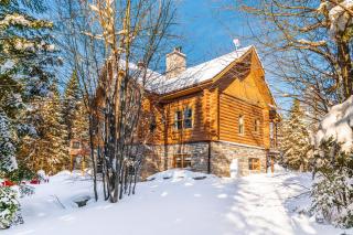 Fiddler Lake Resort Chalet 47 Deer - 7