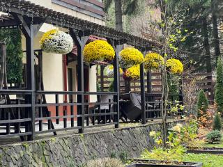 Impala Sinaia - Springbok - 8