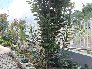 Pulmo Guesthouse Bromo - 1