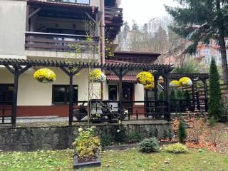 Impala Sinaia - Springbok - 7