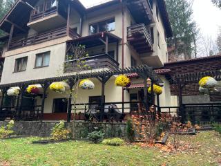 Impala Sinaia - Springbok - 4