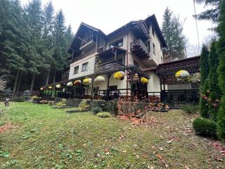 Impala Sinaia - Kudu - 5