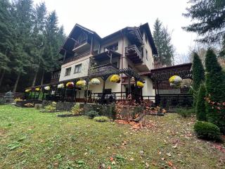 Impala Sinaia - Kudu - 6