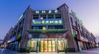 Vatica ShangHai Pudong Airport Disney Huaxia(E) Road Metro Station Hotel . - 8