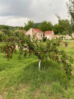 Zeyvə Farm House - 8