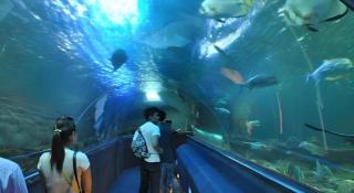 Vinpearl Discovery Rockside Nha Trang - 6