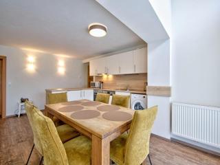 Ski-in, ski-out apartment in Wildschönau - 1