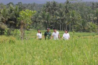 Dhanya Villa Lovina by Parigata - 9