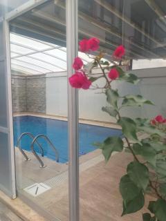 Villa for daily tourist rent - 0