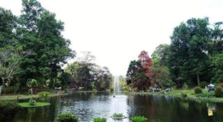 Bumi Ciherang Hotel - 2