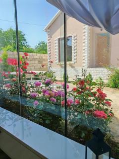 Zeyvə Farm House - 5