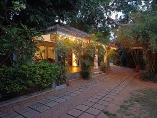 Tissa Wild Heaven - 5