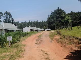 African Dream Tents - 5