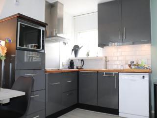 Restful Holiday Home in Grou with Terrace and Garden - 2