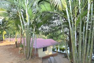 Mahabaleshwar Agro Village - 2