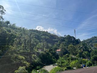 Severn Valley Jungle Villa - 9