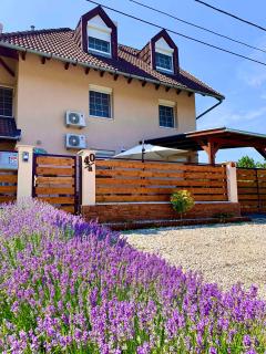 Apartments in Siofok - Balaton 51876 - 0