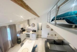 Studio Mezzanine cozy proche gare et canal du midi - 3