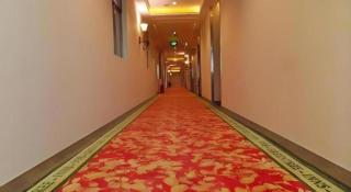 GreenTree Inn Guangzhou Panyu Chimelong Happy World Business Hotel - 7